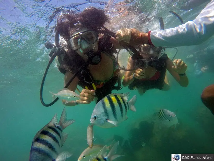 Mergulho com cilindro em Maracajaú, RN