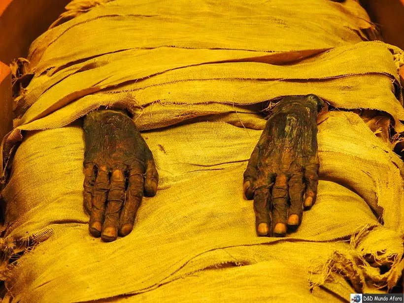 Seção Egípcia nos Museus do Vaticano