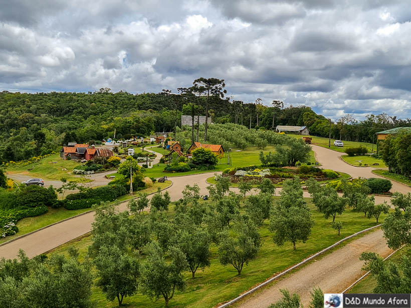 Olivas de Gramado