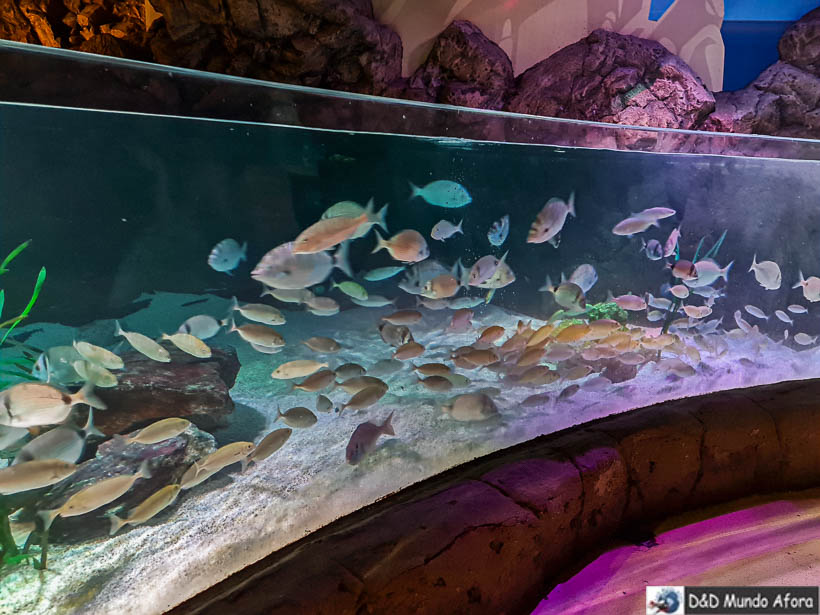 Sea Life Istambul