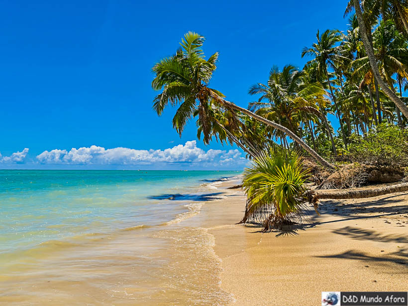 Praia Ponta de Mangue em Maragogi