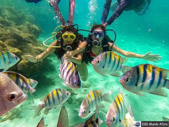 Mergulho com cilindro nas Galés de Maragogi